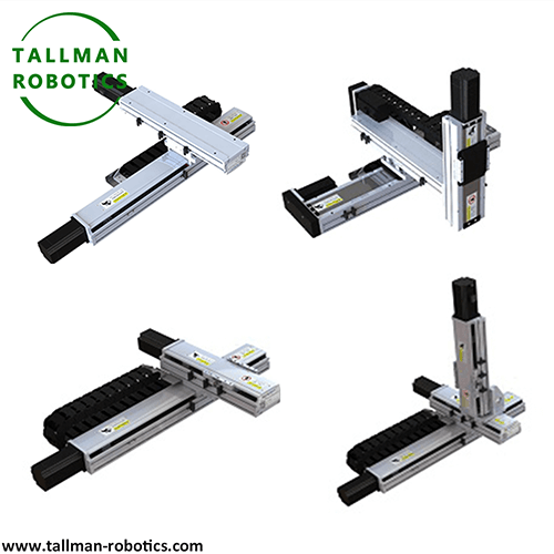 Multi Axis Linear Module