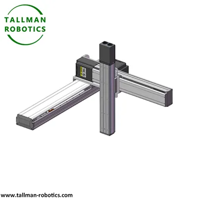 Robot kartesiar modulua